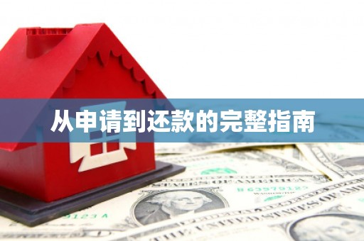 沙雅从申请到还款的完整指南