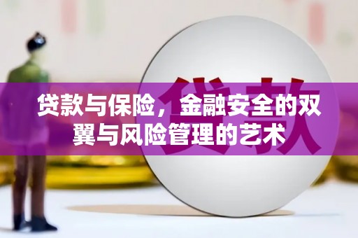 沙雅贷款与保险，金融安全的双翼与风险管理的艺术