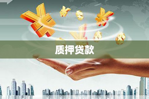 沙雅质押贷款