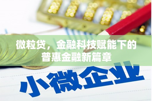 沙雅微粒贷，金融科技赋能下的普惠金融新篇章