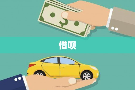 沙雅借呗