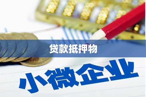 沙雅贷款抵押物