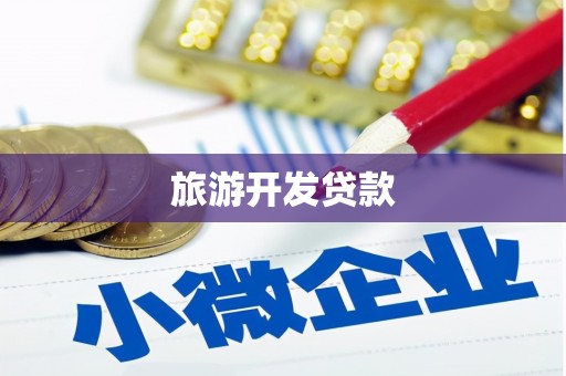 沙雅旅游开发贷款