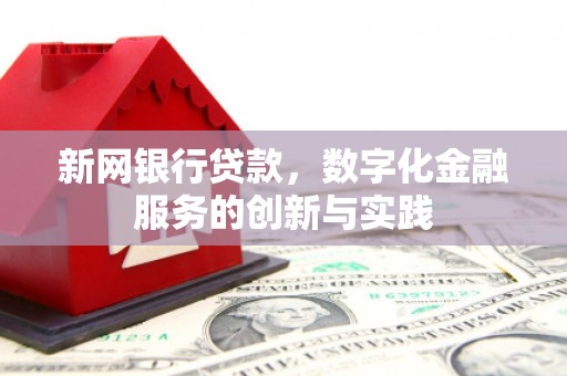 沙雅新网银行贷款，数字化金融服务的创新与实践