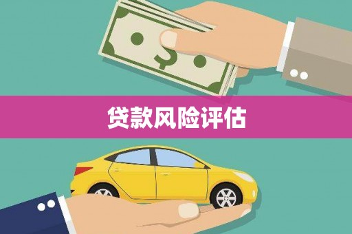 沙雅贷款风险评估