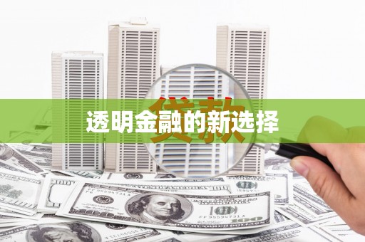 沙雅透明金融的新选择
