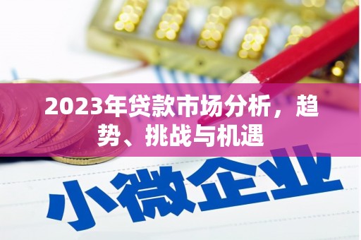 沙雅2023年贷款市场分析，趋势、挑战与机遇