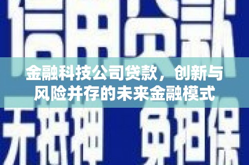 沙雅金融科技公司贷款，创新与风险并存的未来金融模式
