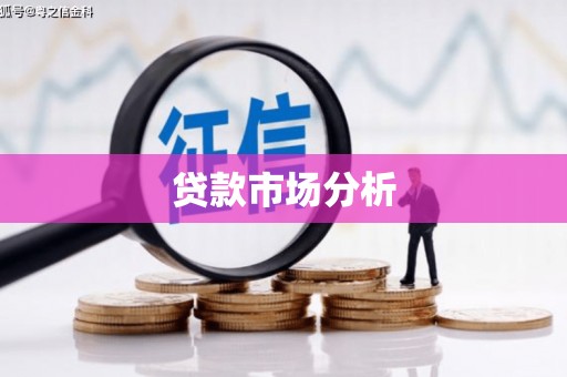 沙雅贷款市场分析