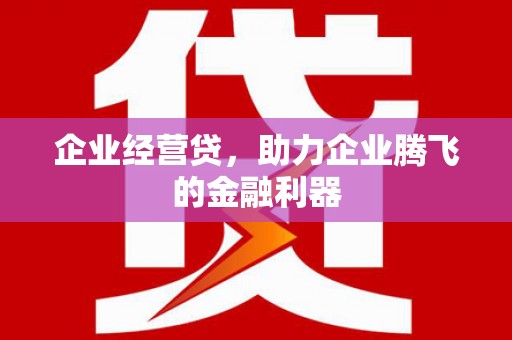 沙雅企业经营贷，助力企业腾飞的金融利器