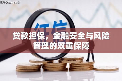 沙雅贷款担保，金融安全与风险管理的双重保障