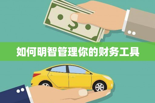 沙雅如何明智管理你的财务工具