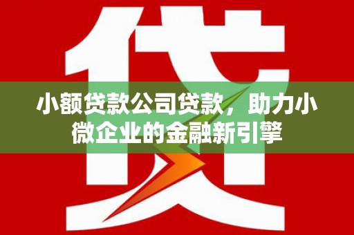 沙雅小额贷款公司贷款，助力小微企业的金融新引擎