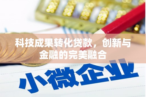 沙雅科技成果转化贷款，创新与金融的完美融合