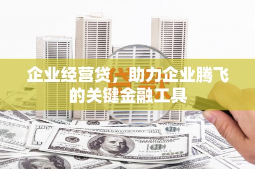 沙雅企业经营贷，助力企业腾飞的关键金融工具