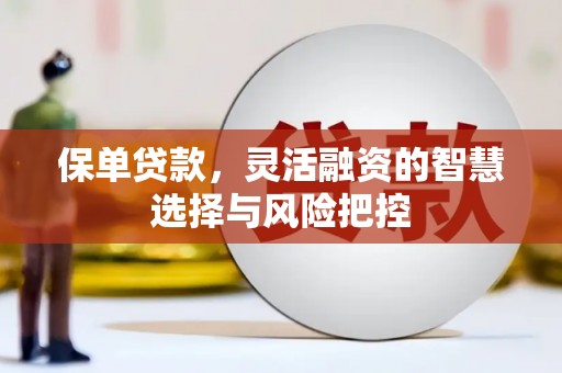 沙雅保单贷款，灵活融资的智慧选择与风险把控