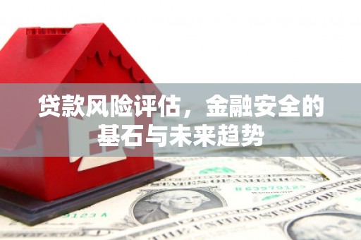 沙雅贷款风险评估，金融安全的基石与未来趋势