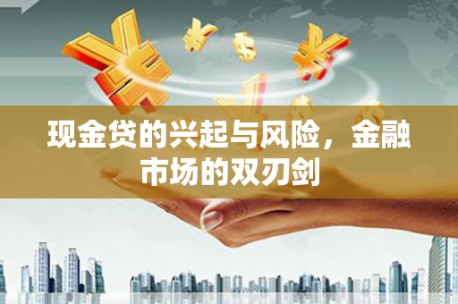 沙雅现金贷的兴起与风险，金融市场的双刃剑
