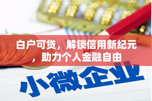 沙雅白户可贷，解锁信用新纪元，助力个人金融自由