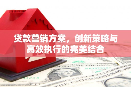 沙雅贷款营销方案，创新策略与高效执行的完美结合