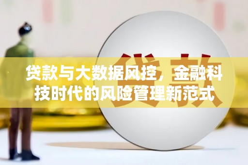 沙雅贷款与大数据风控，金融科技时代的风险管理新范式
