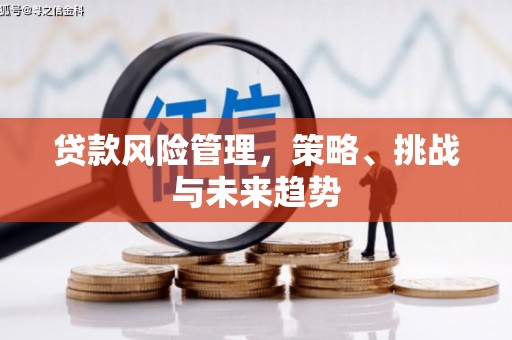 沙雅贷款风险管理，策略、挑战与未来趋势