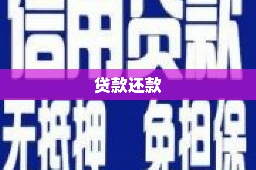 沙雅贷款还款