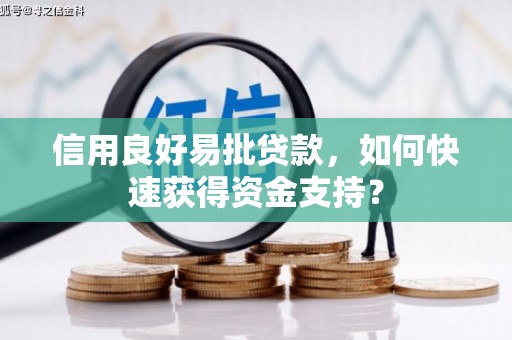 沙雅信用良好易批贷款，如何快速获得资金支持？