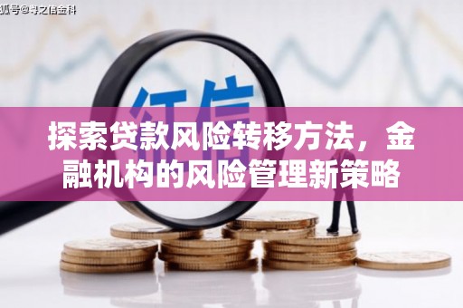 沙雅探索贷款风险转移方法，金融机构的风险管理新策略
