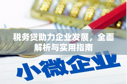 沙雅税务贷助力企业发展，全面解析与实用指南