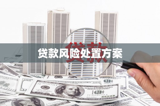 沙雅贷款风险处置方案