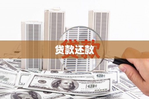 沙雅贷款还款