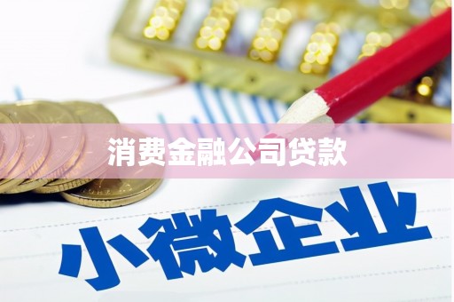 沙雅消费金融公司贷款