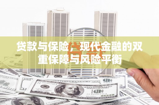 沙雅贷款与保险，现代金融的双重保障与风险平衡