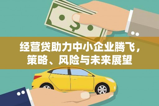 沙雅经营贷助力中小企业腾飞，策略、风险与未来展望