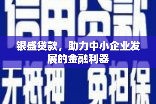 沙雅银盛贷款，助力中小企业发展的金融利器