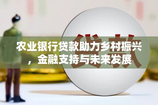 沙雅农业银行贷款助力乡村振兴，金融支持与未来发展