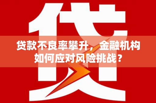 沙雅贷款不良率攀升，金融机构如何应对风险挑战？