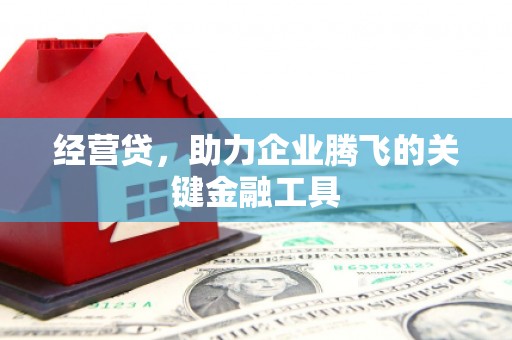 沙雅经营贷，助力企业腾飞的关键金融工具