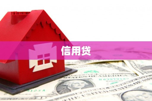 沙雅信用贷