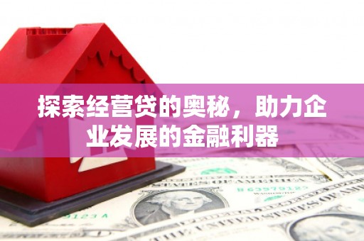 沙雅探索经营贷的奥秘，助力企业发展的金融利器