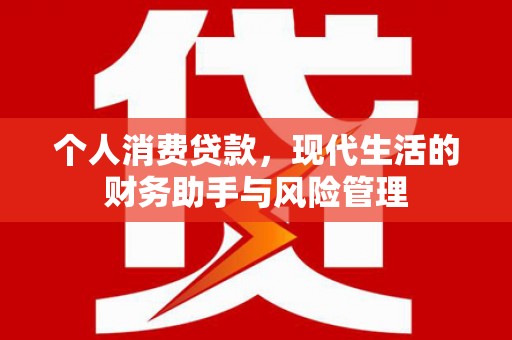 沙雅个人消费贷款，现代生活的财务助手与风险管理
