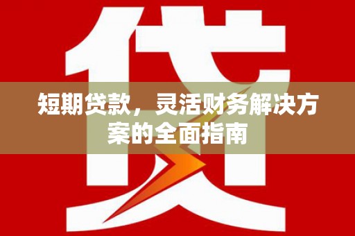 沙雅短期贷款，灵活财务解决方案的全面指南