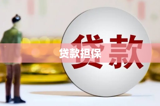沙雅贷款担保