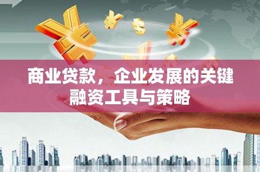 沙雅商业贷款，企业发展的关键融资工具与策略