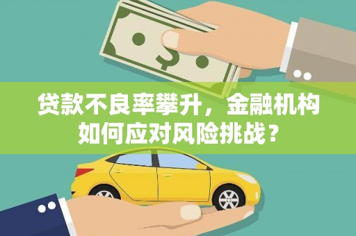 沙雅贷款不良率攀升，金融机构如何应对风险挑战？
