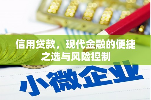 沙雅信用贷款，现代金融的便捷之选与风险控制