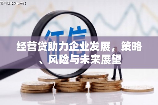 沙雅经营贷助力企业发展，策略、风险与未来展望