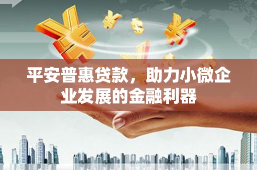 沙雅平安普惠贷款，助力小微企业发展的金融利器