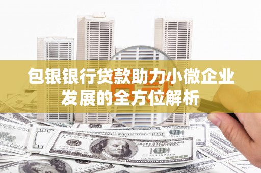 沙雅包银银行贷款助力小微企业发展的全方位解析 沙雅包银银行贷款助力小微企业发展的全方位解析